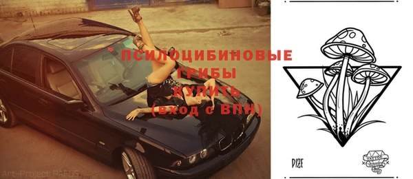 apvp Пестово