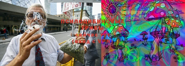 мескалин Покачи