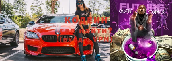 индика Покров