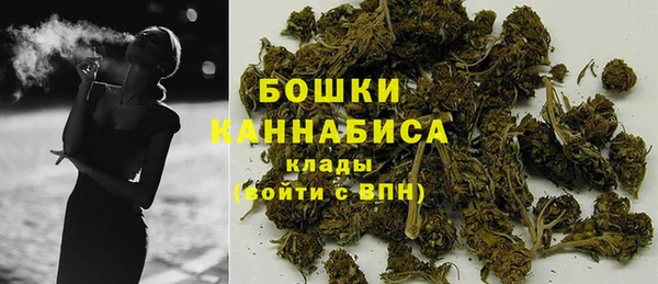 apvp Пестово