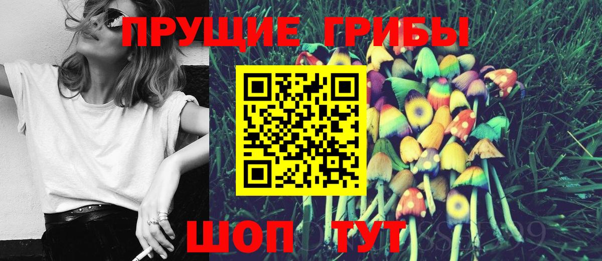 Тверь  Псилоцибиновые грибы Magic Shrooms  Вход с VPN 
