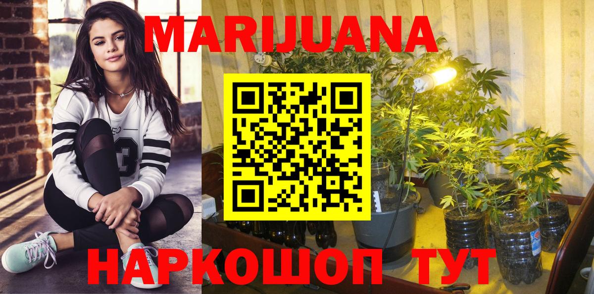 Конопля планчик Тверь